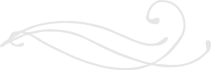 Left Image