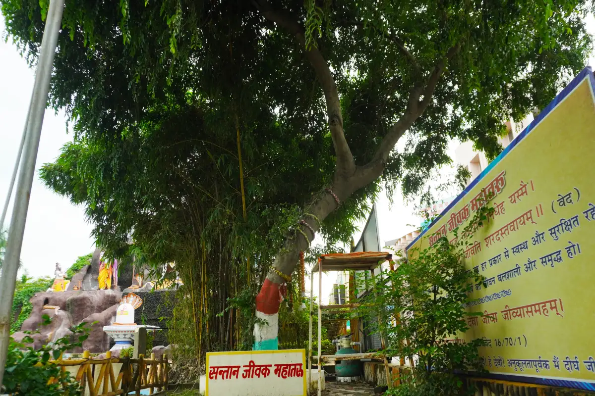 Santaan Jeevan Vriksha